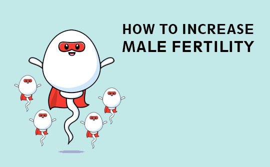 How To Increase Male Fertility